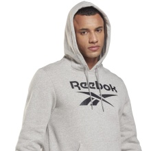 Reebok Hoodie Identity Fleece Hoodie Grey Men